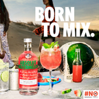 Absolut Watermelon 750ml