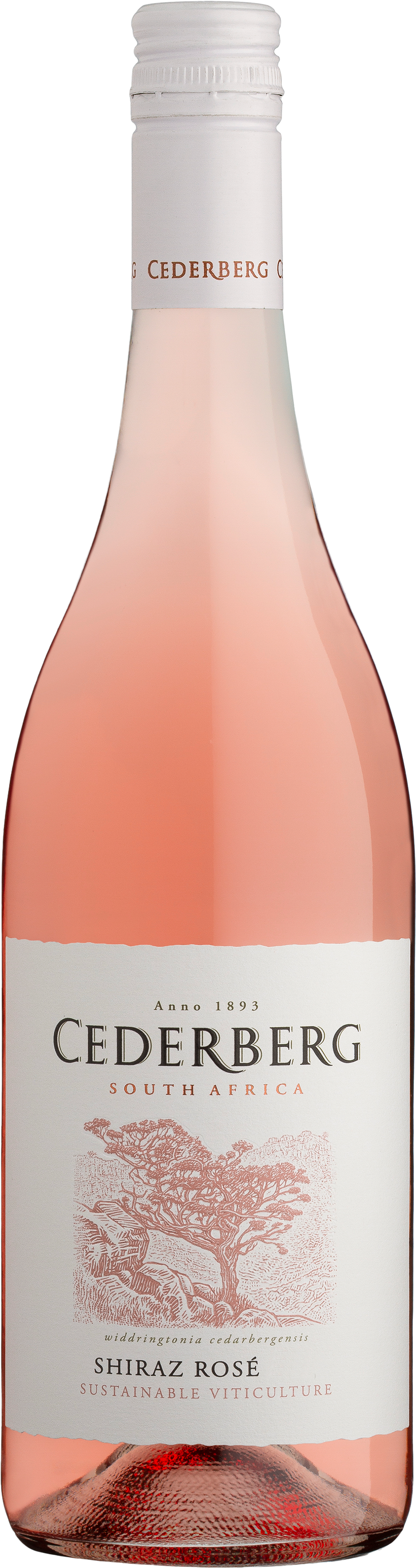 Cederberg Rose 750ml