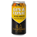 Two Gingers Spice Route Gin And Tonic 440Ml