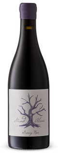 Villiera Bush Vine Gamay Noir 2023 750ml